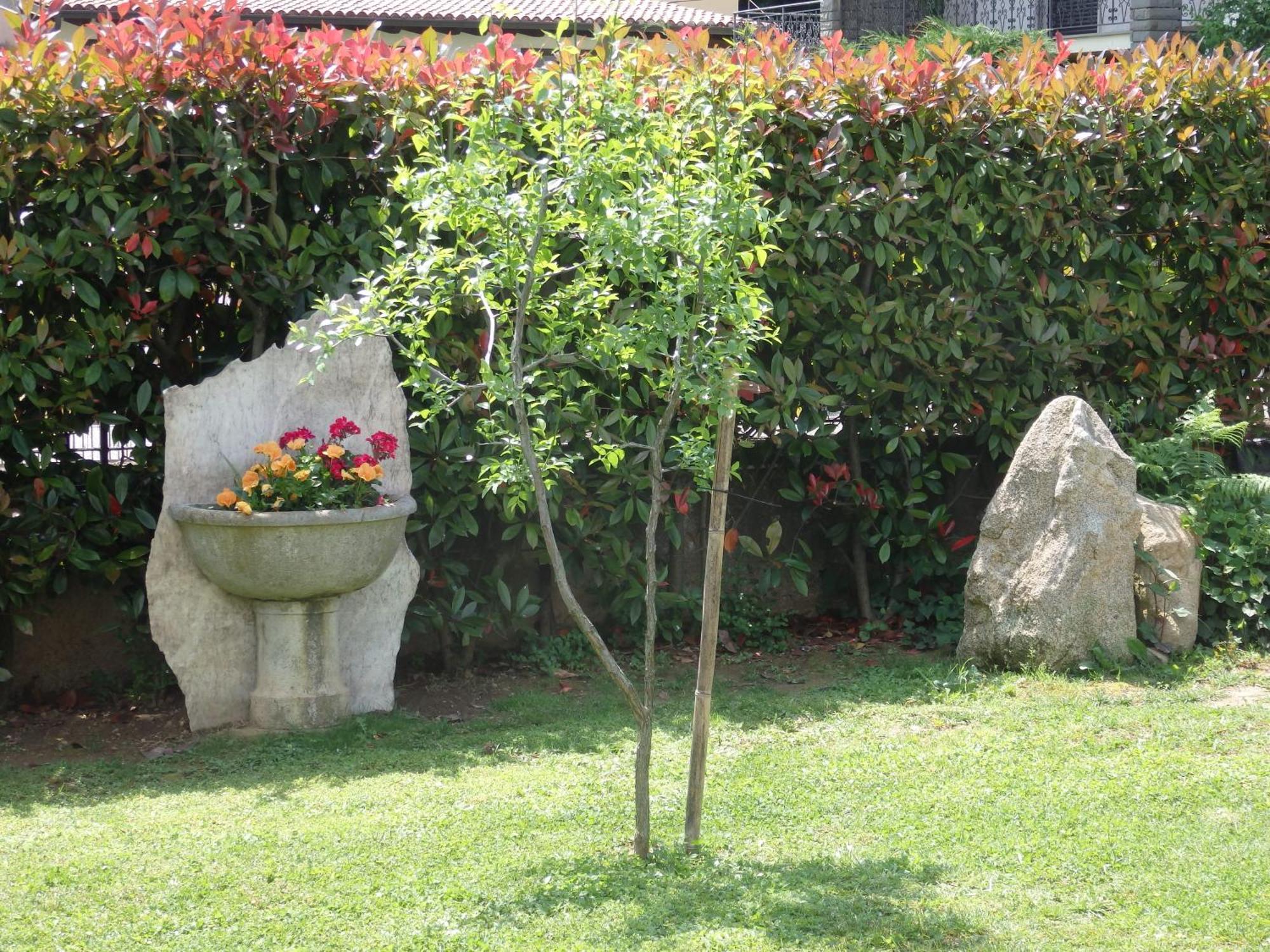 Riflessi D'Arte Bed & Breakfast Provaglio d'Iseo Bagian luar foto
